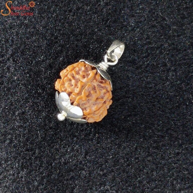 Natural 13 Mukhi Face Rudraksha Pendant Shraddha Shree Gems