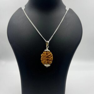 Natural & Certified 2 Mukhi/Face Rudraksha Pendant