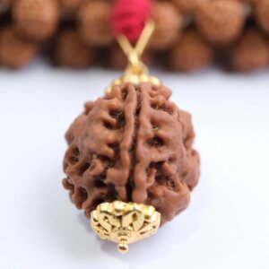 Natural & Certified 3 Mukhi/Face Rudraksha Pendant