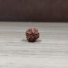 Natural And Certified 7 Mukhi/Face Loose Rudraksha | Origin Of Nepal