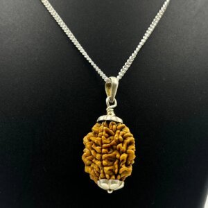 Natural & Certified 2 Mukhi/Face Rudraksha Pendant