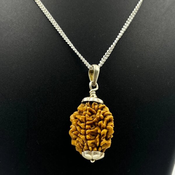 Pendentif Rudraksha 2 Mukhi – Marron – Certifié Laboratoire – Fil Rouge – Symbole Spiritualité Hindoue