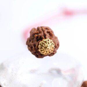 Natural & Certified 3 Mukhi/Face Rudraksha Pendant