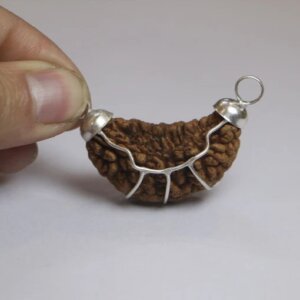 Natural & Certified 1 Mukhi/ Face Rudraksha Pendant