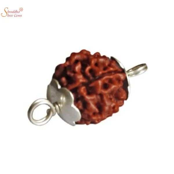 3 mukhi/face rudraksha pendant in sterling silver