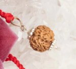 4 Mukhi Rudraksha Pendant