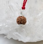 4 Mukhi Rudraksha Pendant