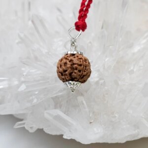 4 Mukhi Rudraksha Pendant