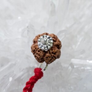 4 Mukhi Rudraksha Pendant