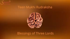 Three Mukhi rudraksha: Blessings of three Lords