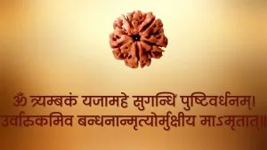benefits of wearing Five mukhi rudraksha