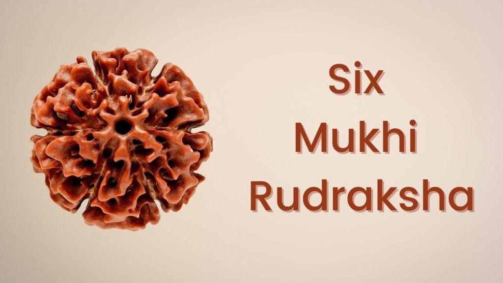 Six-Mukhi-Rudraksha