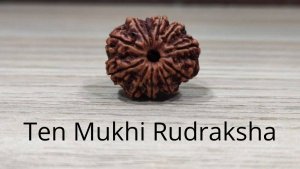 Ten Mukhi Rudraksha: Rudraksha with ten faces