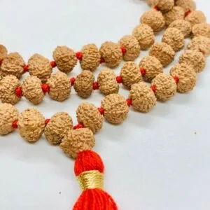 Natural 5 Mukhi Rudraksha Mala