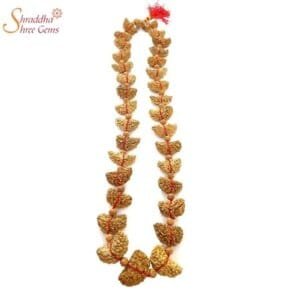Natural Rudraksha Mala of 1 Mukhi Rudraksha and 5 Mukhi Rudraksha