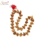 Natural Rudraksha Mala of 1 Mukhi Rudraksha and 5 Mukhi Rudraksha