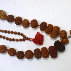 Rudraksha Combination of 1 to 14 Mukhi Rudraksha