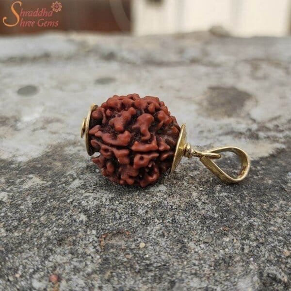 5 Mukhi (Face) Rudraksha Pendant