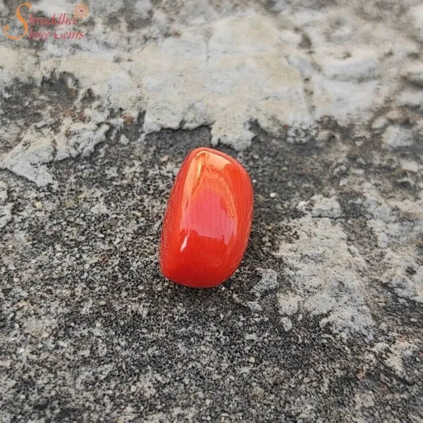 7 Carat Loose Coral (Munga) Gemstone