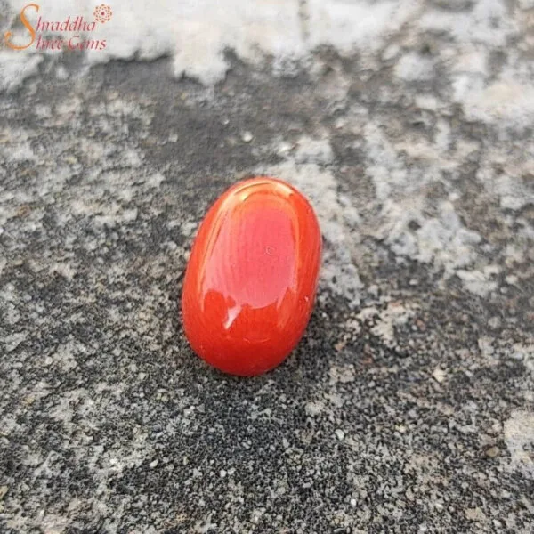 7 Carat Loose Coral (Munga) Gemstone