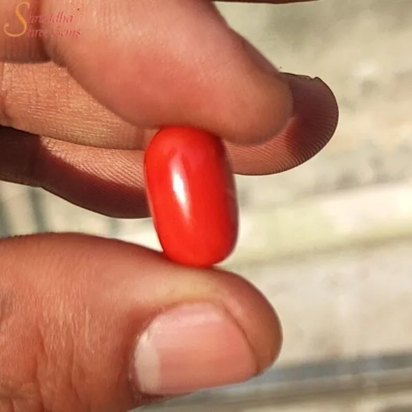 12 Carat Loose Coral (Munga) Gemstone