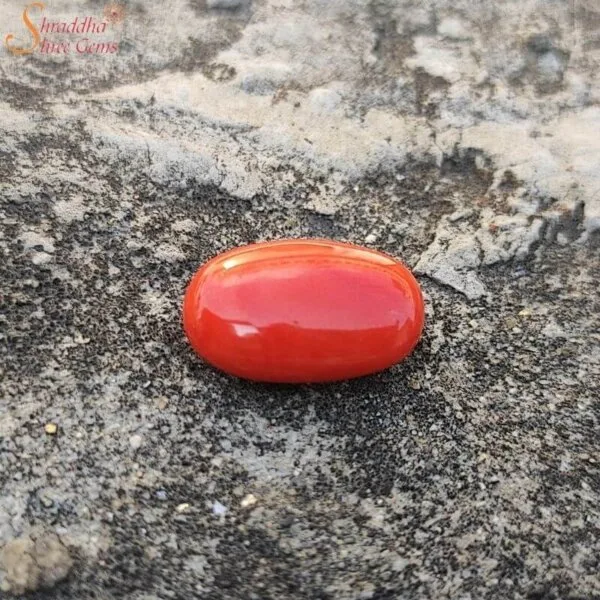 12 Carat Loose Coral (Munga) Gemstone