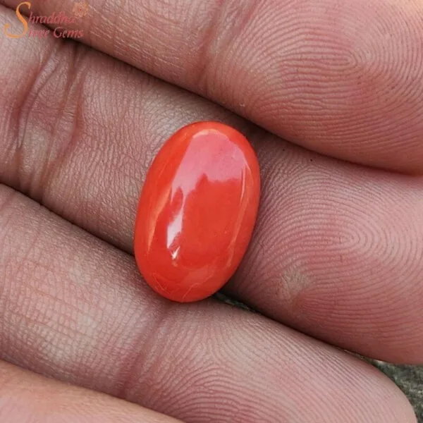 12 Carat Loose Coral (Munga) Gemstone