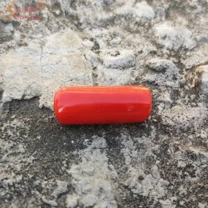 8 Carat Coral (Munga) Gemstone