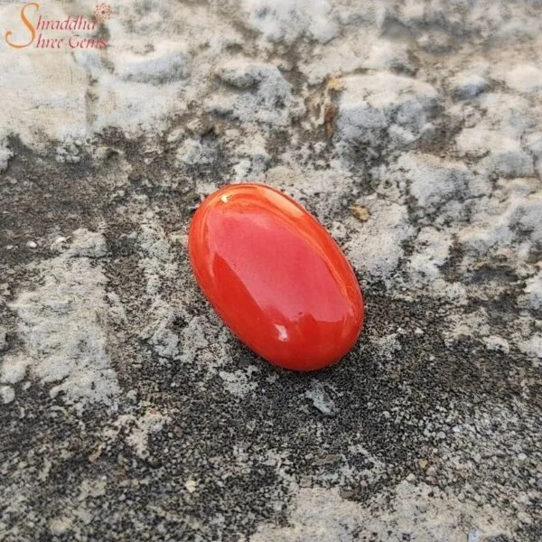 12 Carat Loose Coral (Munga) Gemstone