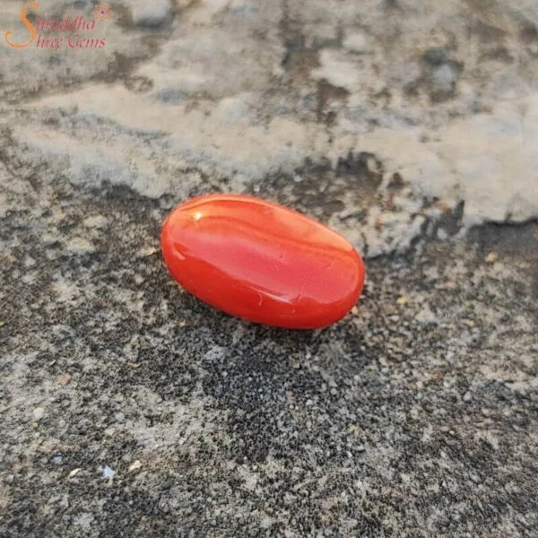 12 Carat Loose Coral (Munga) Gemstone