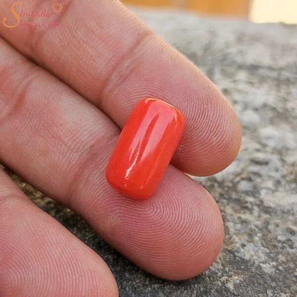 5 Carat Loose Coral (Munga) Gemstone