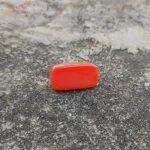 5 Carat Loose Coral (Munga) Gemstone