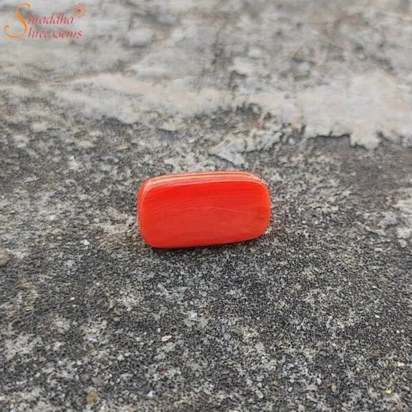 5 Carat Loose Coral (Munga) Gemstone