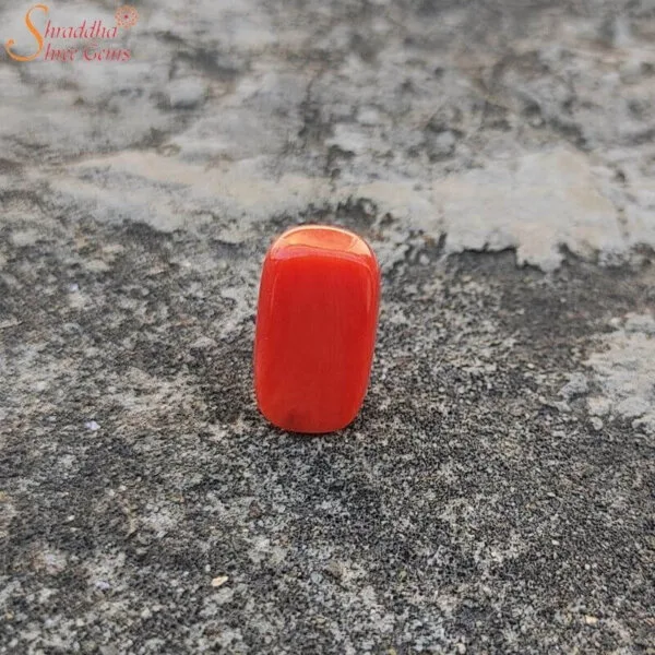 5 Carat Loose Coral (Munga) Gemstone