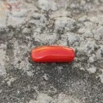 Certified 6 Carat Coral (Munga) Gemstone