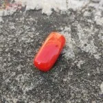 Certified 6 Carat Coral (Munga) Gemstone