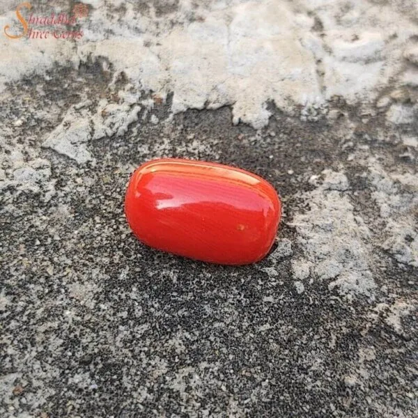 11 Carat Coral (Munga) Gemstone