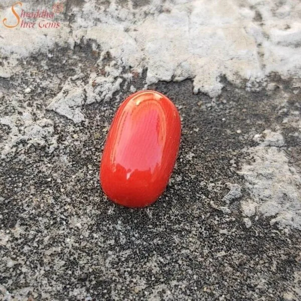 11 Carat Coral (Munga) Gemstone