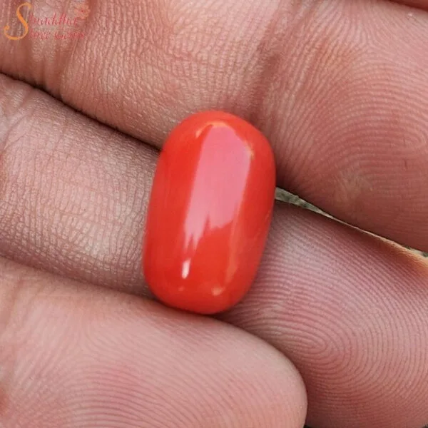 11 Carat Coral (Munga) Gemstone