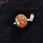 natural 10 mukhi rudraksha pendant