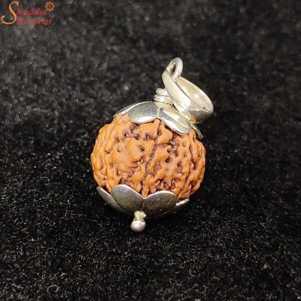 natural 10 mukhi rudraksha pendant