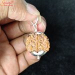 7 mukhi rudraksha pendant