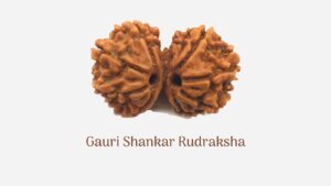 Gauri Shankar Rudraksha: Strength of two Goddess in One Bead