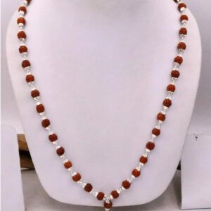 Natural Rudraksha Beads Silver Mala