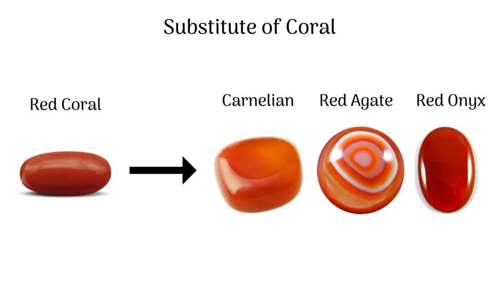substitute of coral