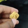 nepal two mukhi rudraksha