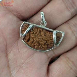 one mukhi rudraksha