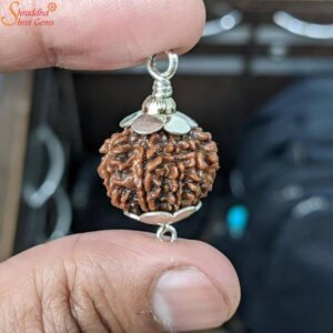 10 mukhi rudraksha pendant