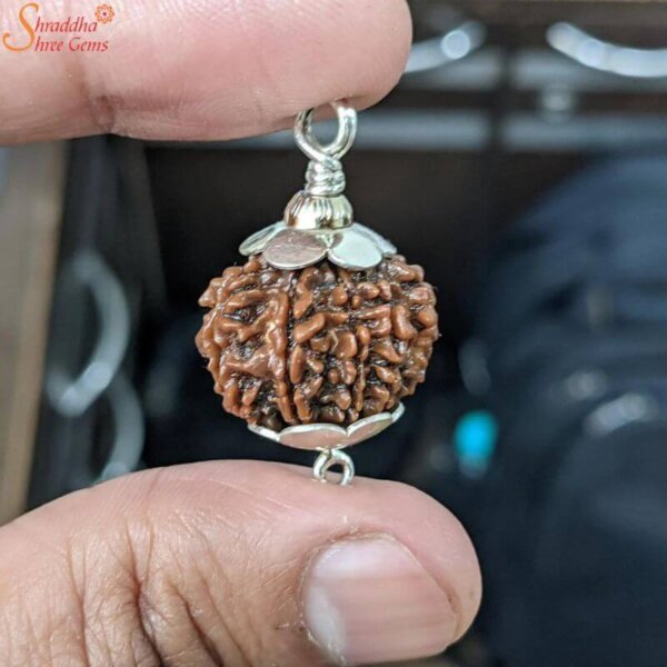10 mukhi rudraksha pendant