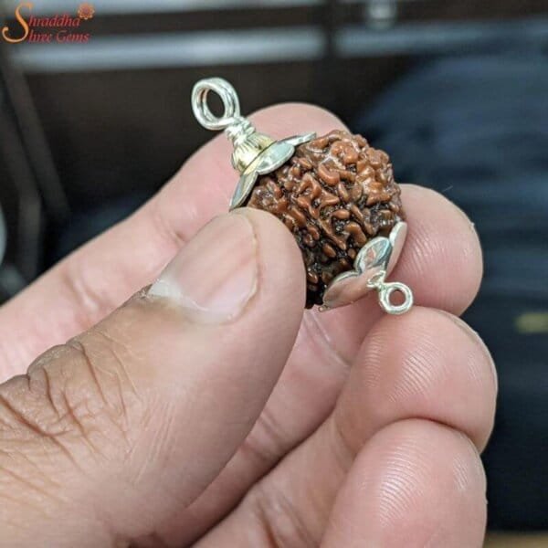 10 mukhi rudraksha pendant